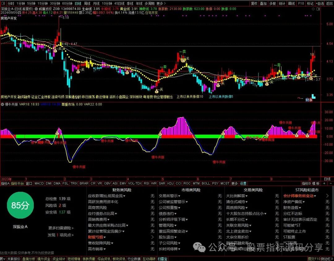通达信威廉波段主图指标公式源码指标效果图