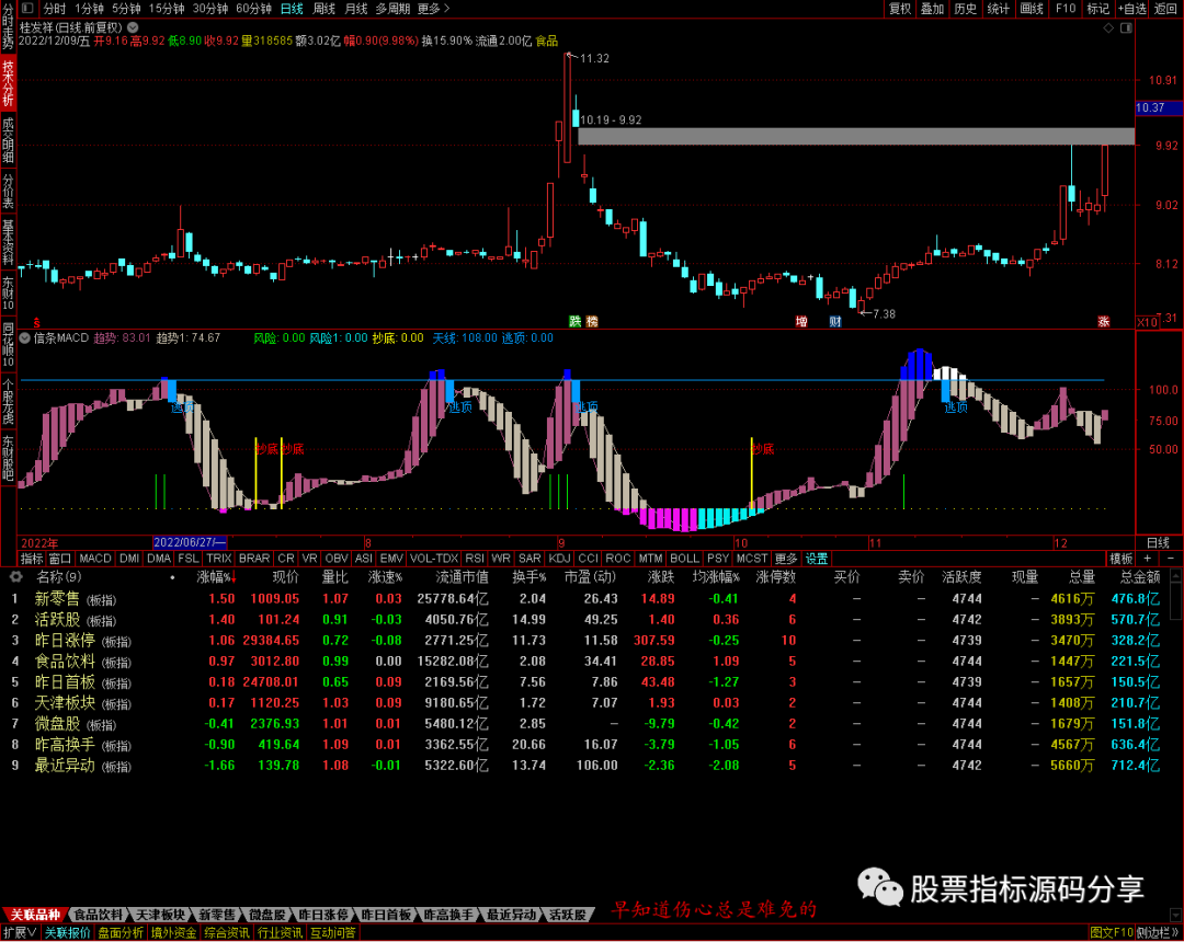 通达信彩条MACD指标公式源码指标效果图