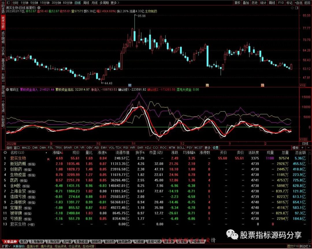 通达信筹码王指标公式源码指标效果图